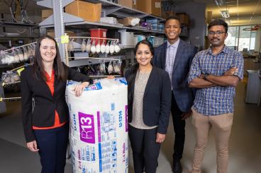 From left, Kelly Farmer, Akanksha Menon, Joe Bozeman, and Arjun Ramshankar with a package of traditional fiberglass insulation and a rack holding samples of potential hemp-based insulation materials created by graduate student Elyssa Ferguson in Menon's lab. 